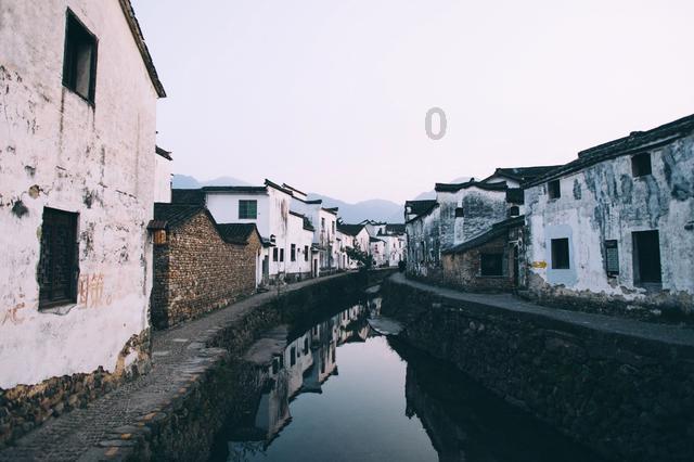 救援小蝙蝠